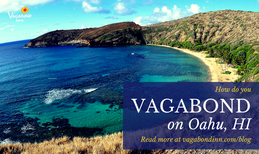 How You Vagabond in    Oahu  Hawaii